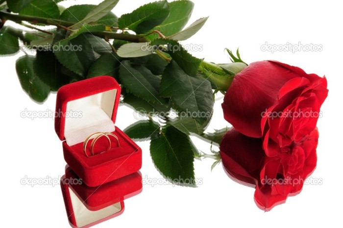 depositphotos_1310227-Red-rose-and-wedding-rings