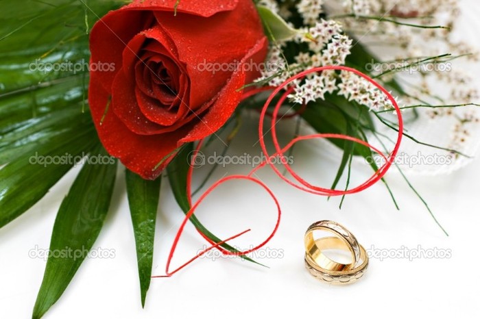 depositphotos_1464756-Wedding-rings-and-rose