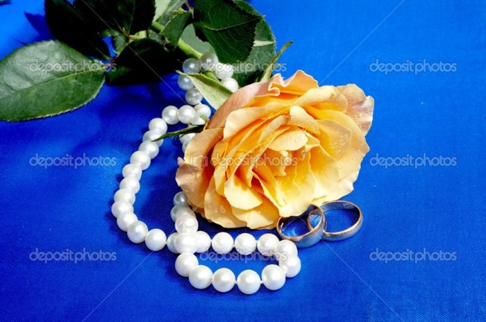 depositphotos_2072264-Rose--with-wedding-rings