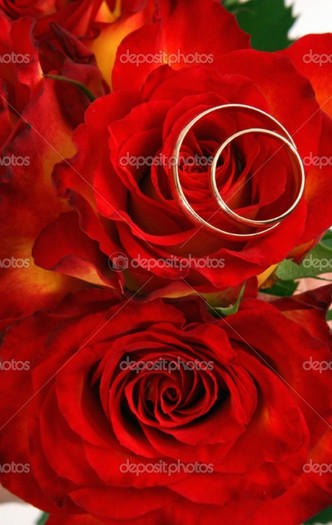 depositphotos_2244654-Wedding-rings-and-roses