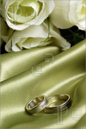 Pair_Wedding_Bands_Green_Satin91416