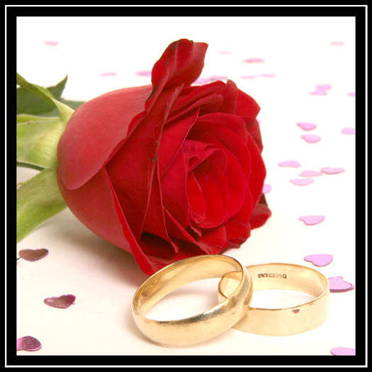 rose-and-rings-a
