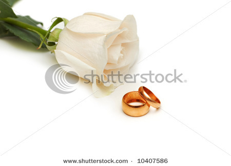 stock-photo-white-rose-and-wedding-rings-isolated-on-white-10407586