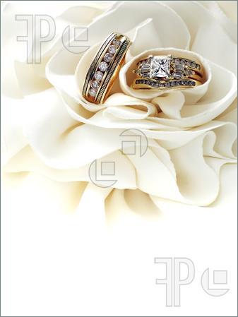 Wedding-Rings-98559