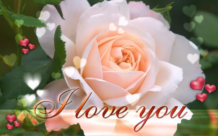 love (6) - Lov3