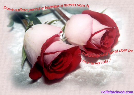 love (8) - Lov3