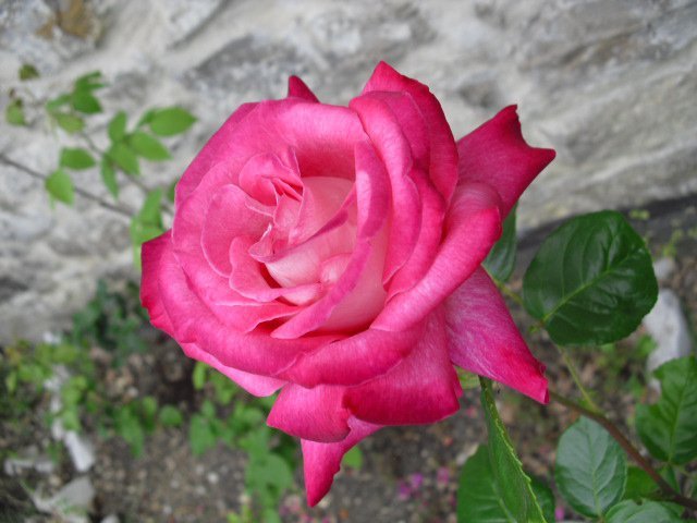 283881_236093093079941_100000377552026_814504_6847006_n