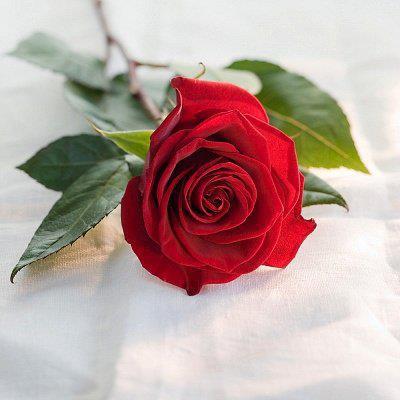 307333_168147726599939_100002141381715_363130_1935451024_n