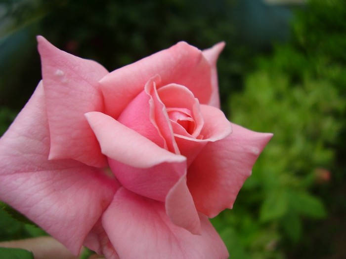 3666034222_737702f224_b