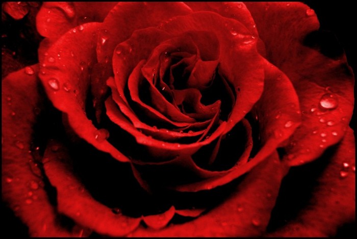 4987470694_ee73b90cc8_b