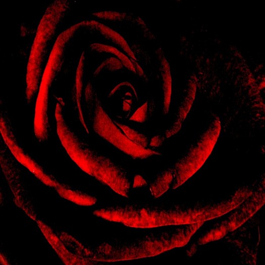 5024709429_d5ec1f8043_b