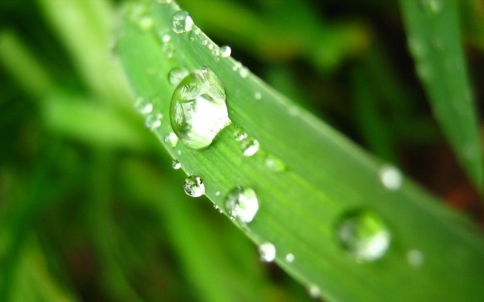 after-the-rain_1797_1680x1050 - ploaia