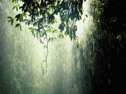 free_rain_wallpapers_photos4 - ploaia