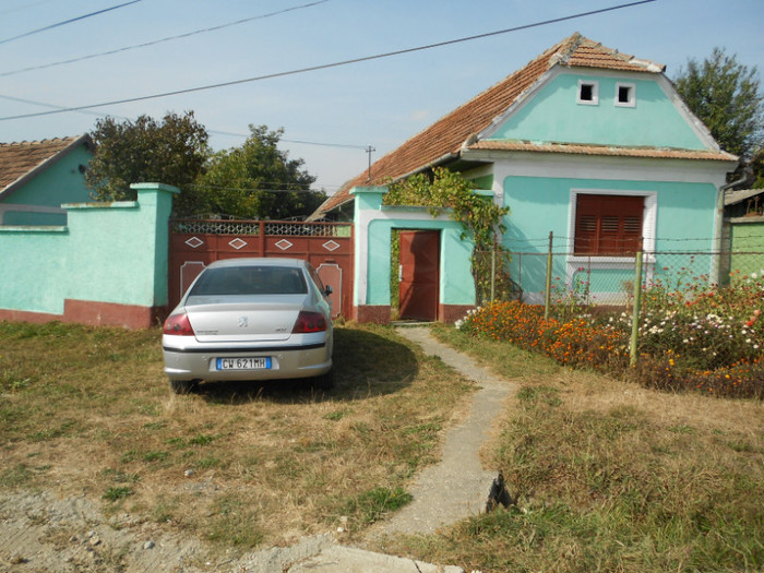 casa mamei - MAMA ROZALINA 2011si 2 012 2013