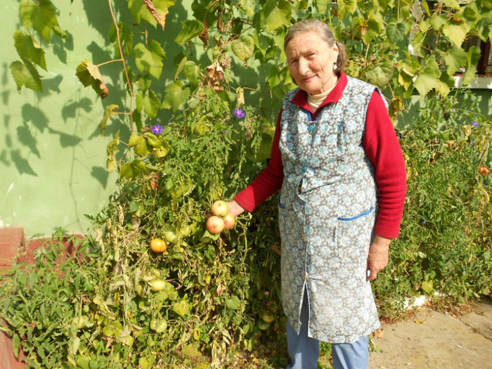 mama care ne aratà recolta