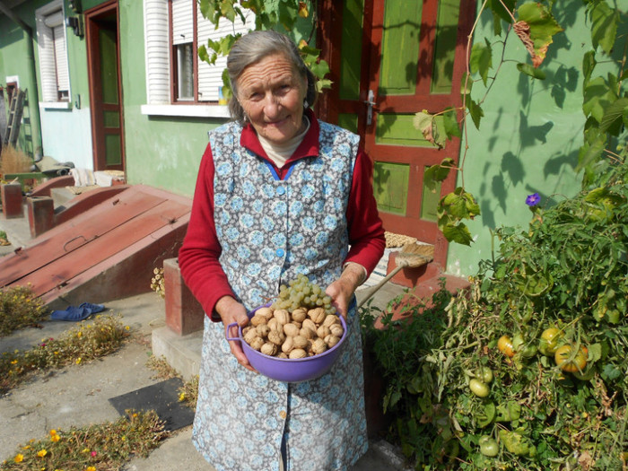 avem si nuci si struguri