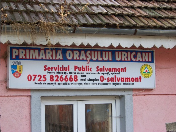 100_6890 - Campul lui Neag
