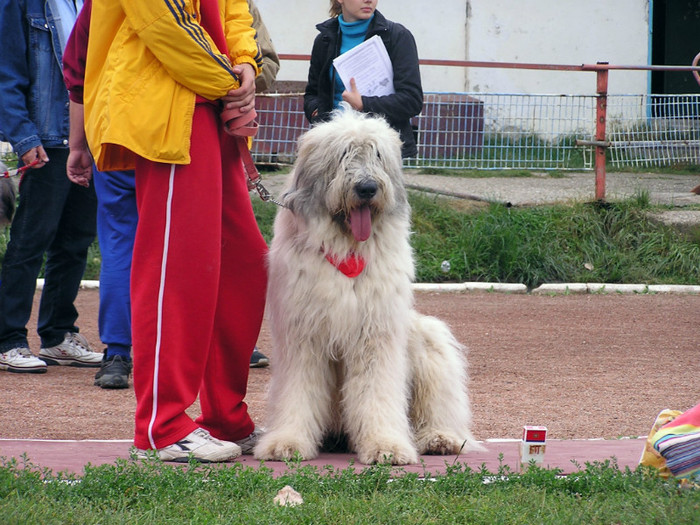 buzau 2004 22 - Buzau 26-09-2004