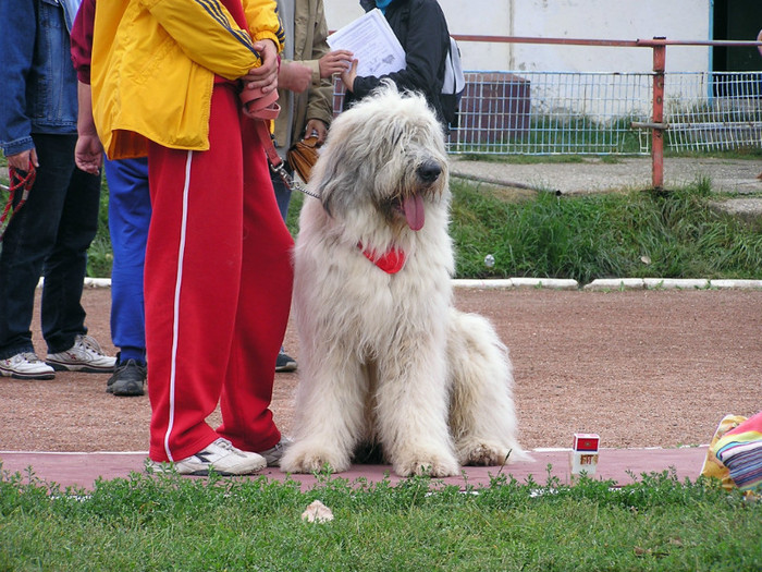 buzau 2004 23 - Buzau 26-09-2004