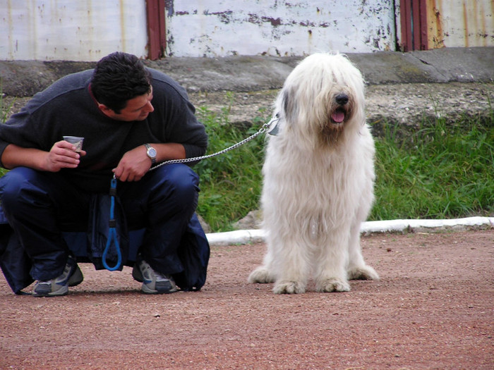 buzau 2004 26