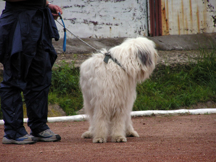 buzau 2004 27