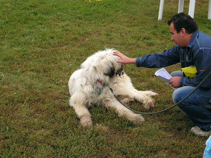 buzau 2004 31