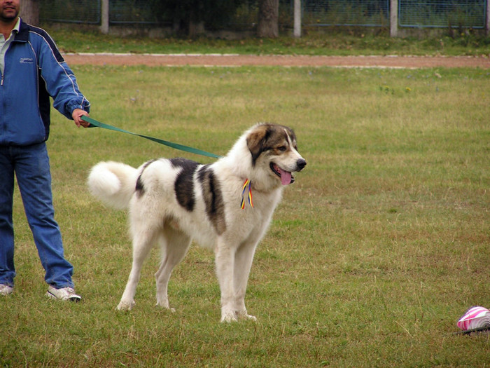 buzau 2004 33 - Buzau 26-09-2004