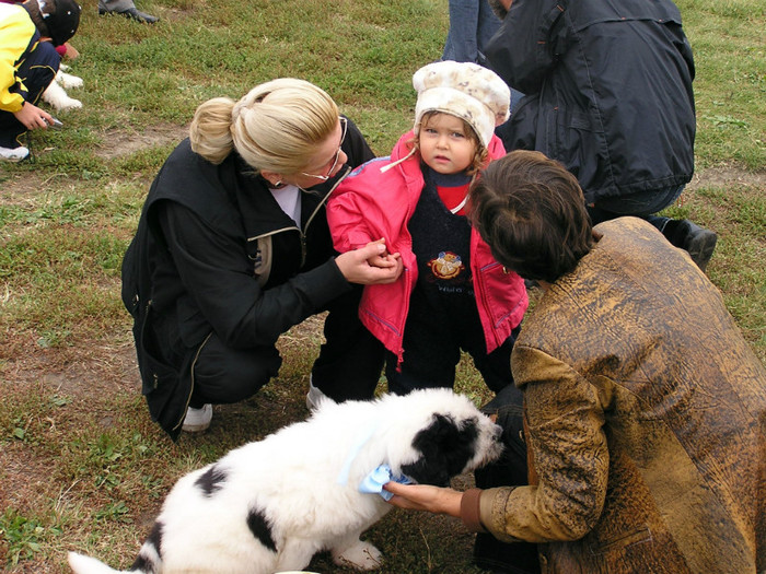 buzau 2004 40