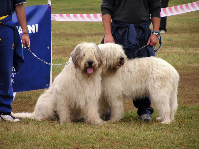 buzau 2004 42