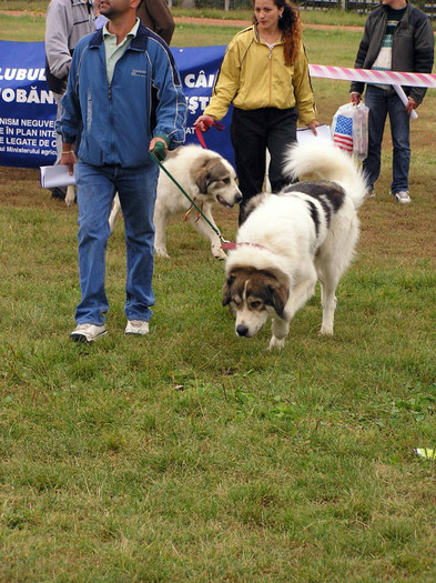 buzau 2004 47