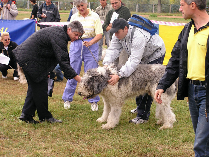 buzau 2004 61 - Buzau 26-09-2004