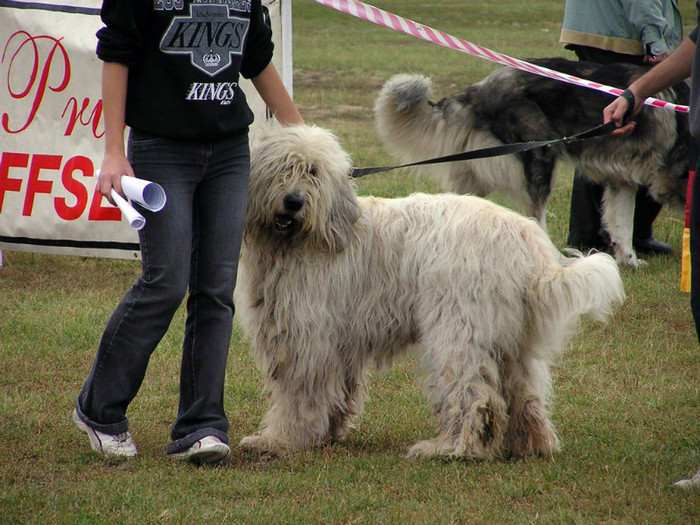 buzau 2004 65