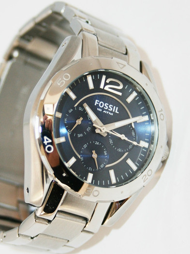 Fossil_2