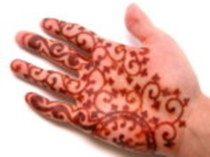 21459832_VAGEBKGGQ - henna india