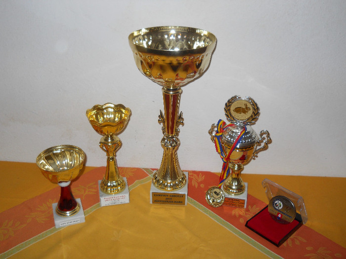 Cupe - Premii
