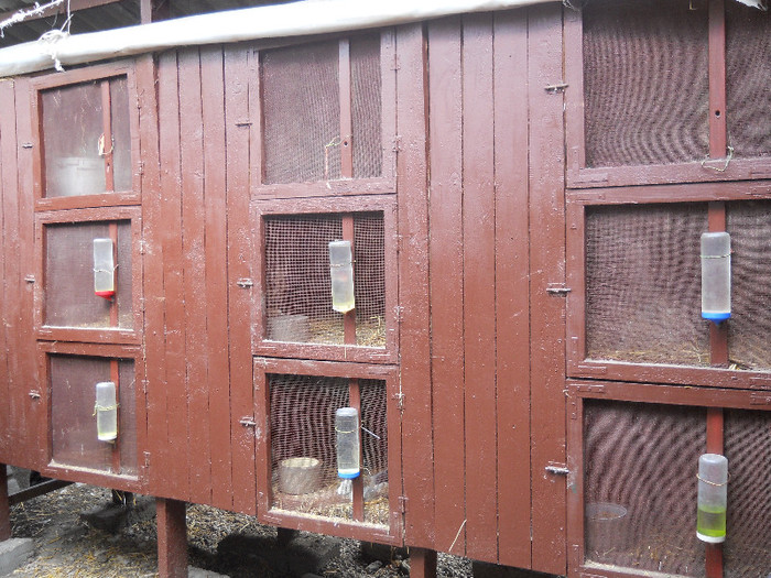 Cusca 1; Matca fatare
