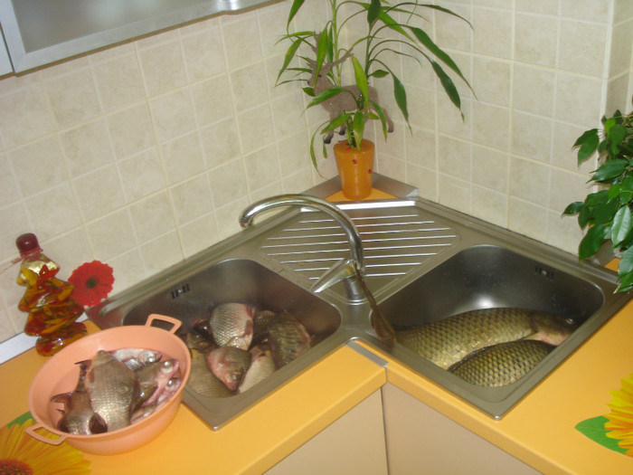 CRISTI A FOST LA PESTE