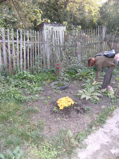 1 oct 2011 005