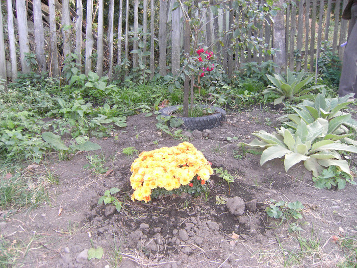 1 oct 2011 006