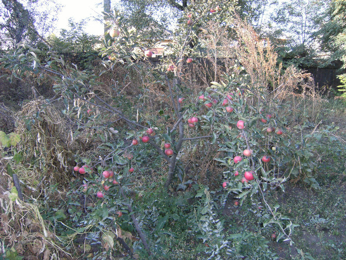 1 oct 2011 007
