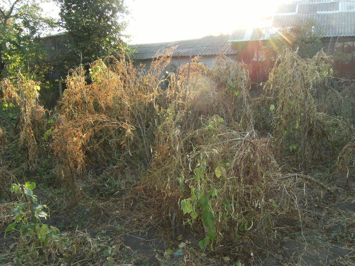 1 oct 2011 008