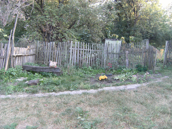 1 oct 2011 022
