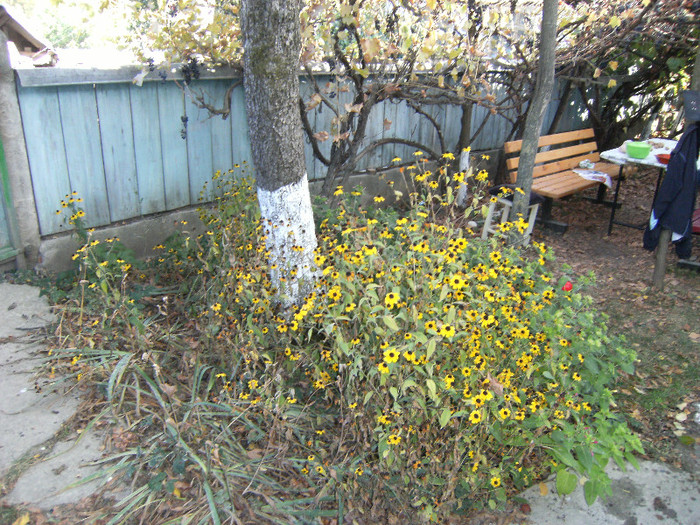 1 oct 2011 031