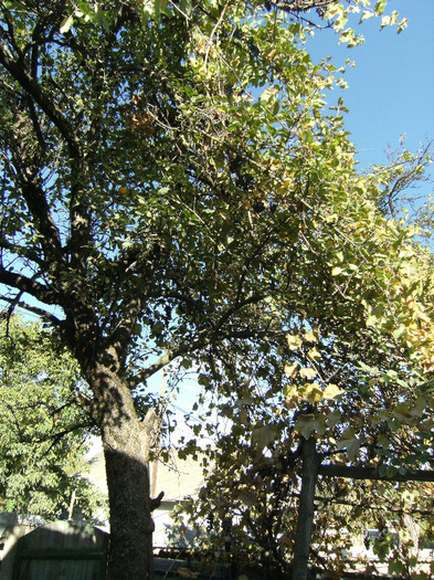 1 oct 2011 032