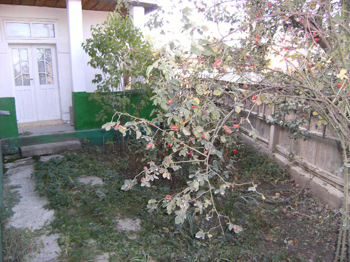 1 oct 2011 033