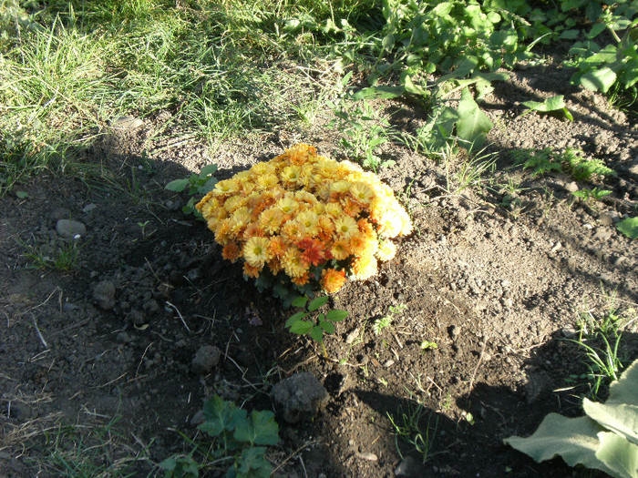 1 oct 2011 037