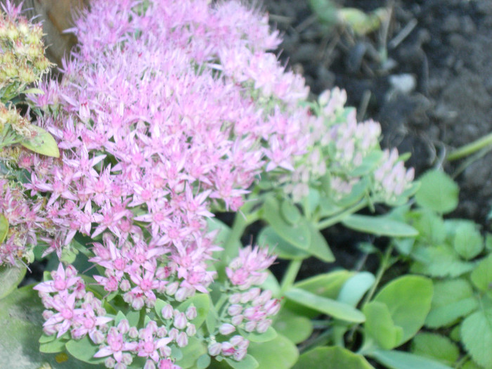 1 oct 2011 048