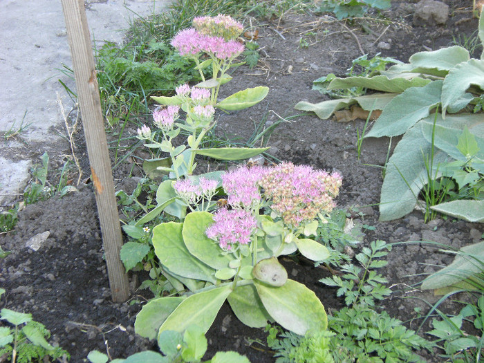 1 oct 2011 049