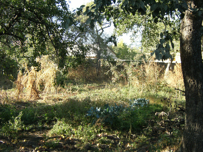 1 oct 2011 050