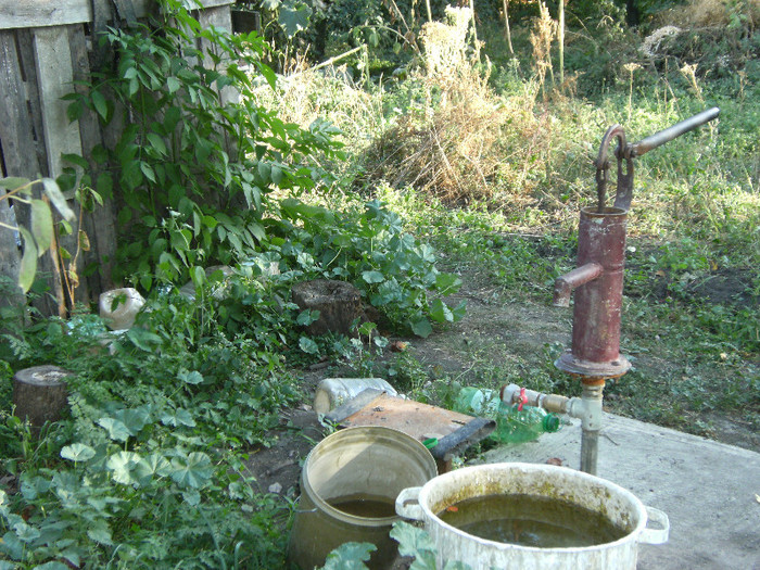 1 oct 2011 051